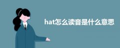 hat怎么读音是什么意思