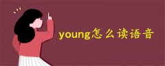 young怎么读语音