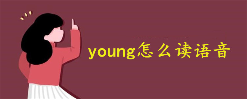 young怎么读语音