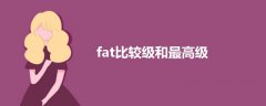 fat比较级和最高级