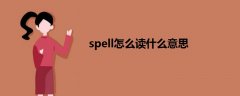 spell怎么读什么意思