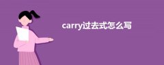 carry过去式怎么写