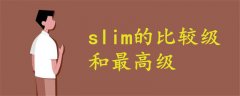 slim的比较级和最高级