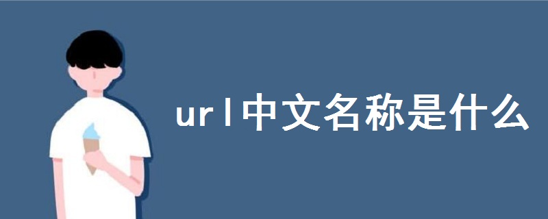 url中文名称是什么