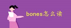 bones怎么读啊