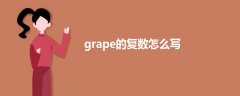 grape的复数怎么写