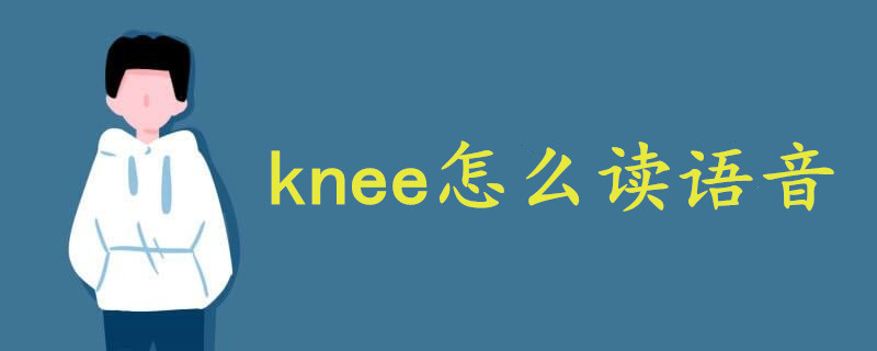 knee怎么读语音