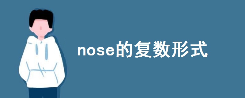 nose的复数形式