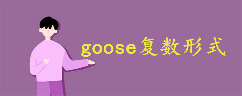 goose复数形式单词