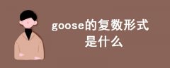 goose的复数形式是什么