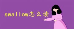 swallow燕子怎么读