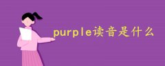 紫色英文purple读音发音