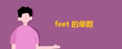 feet的单数