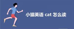 小猫英语cat怎么读