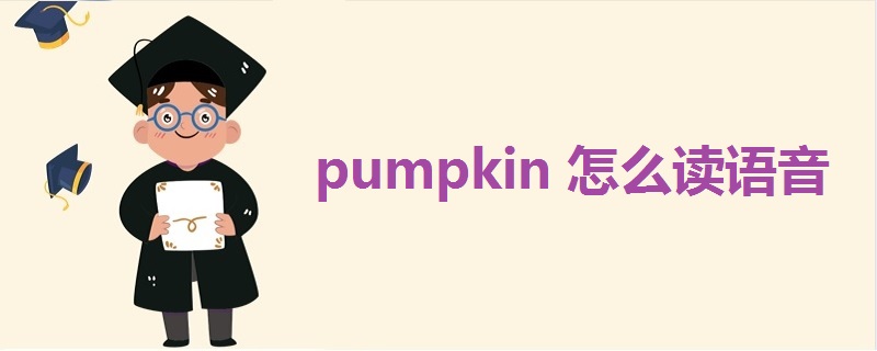 pumpkin怎么读语音