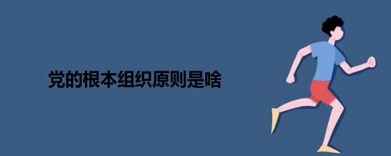 党的根本组织原则是啥