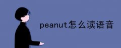 peanut怎么读语音