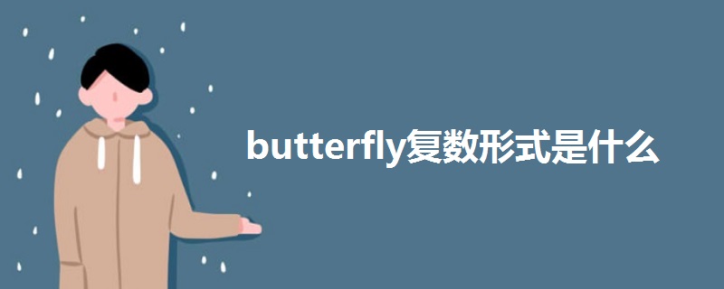 butterfly复数形式是什么