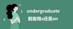 undergraduate前面用a还是an