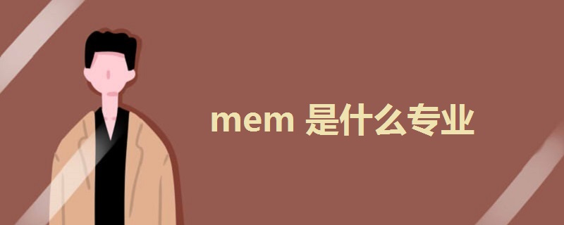 mem是什么专业