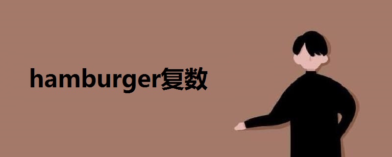 hamburger复数