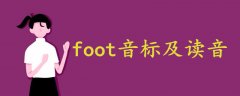 foot音标及读音