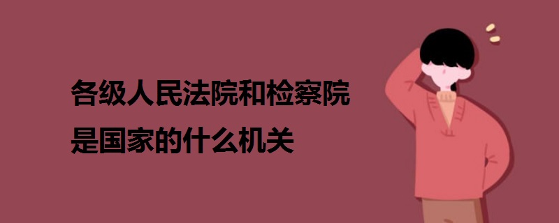 各级人民法院和检察院是国家的什么机关