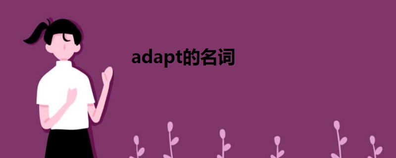 adapt的名词