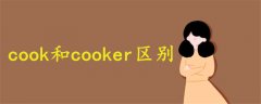 cook cooker区别