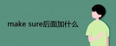 make sure后面加什么