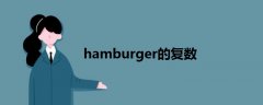 hamburger的复数