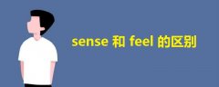 sense和feel的区别