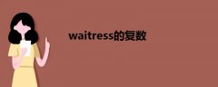 waitress的复数