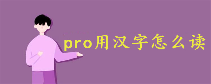 pro用汉字怎么读