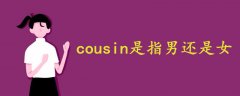 cousin是指男还是女