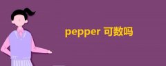 pepper可数吗