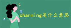 charming是什么意思中文