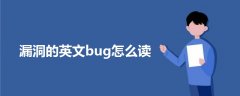 漏洞的英文bug怎么读