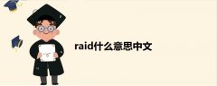 raid什么意思中文