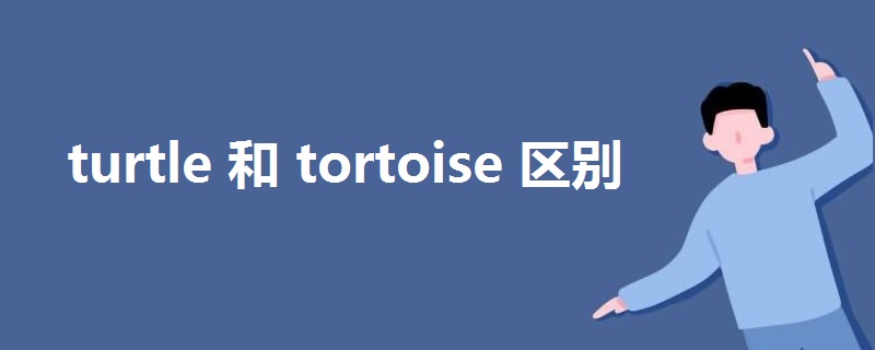 turtle和tortoise区别