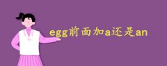 egg前面加a还是an