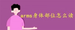 arms身体部位怎么读