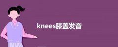 knees膝盖发音