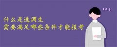 什么是选调生?需要满足哪些条件才能报考