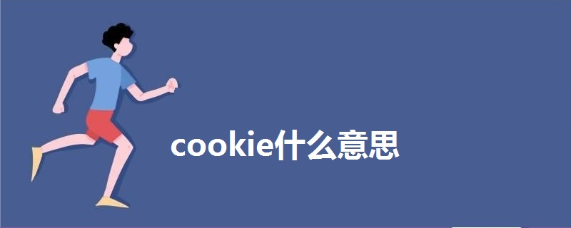 cookie什么意思