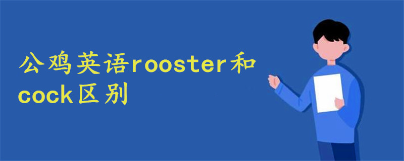 公鸡英语rooster和cock区别