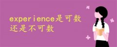 experience 可数与不可数