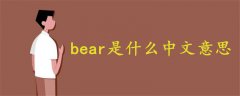 bear是什么中文意思