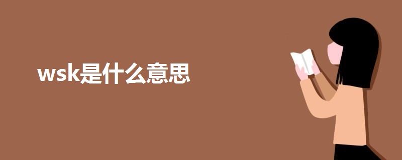 wsk是什么意思