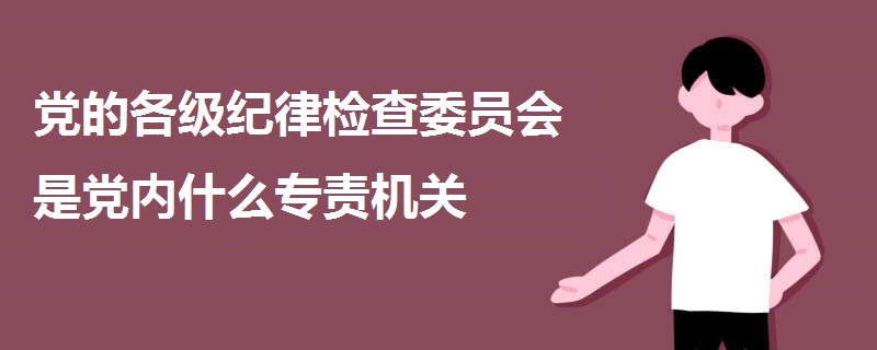 党的各级纪律检查委员会是党内什么专责机关